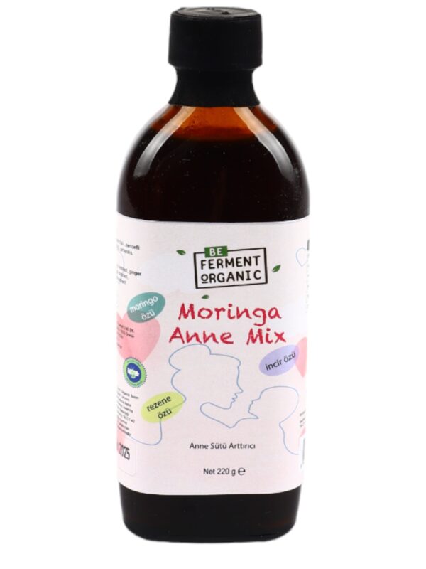 Beferment Organic Anne Mix 220 g x 4 Adet