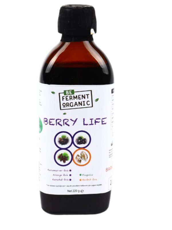 Beferment Organic Berry Life Şurup 220 g x 4 Adet