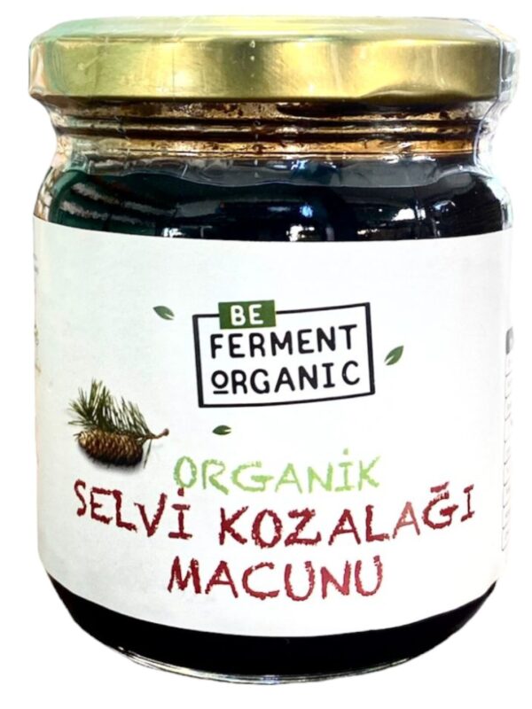Beferment Organic Çam Kozalaklı Macun 240 g x 4 Adet