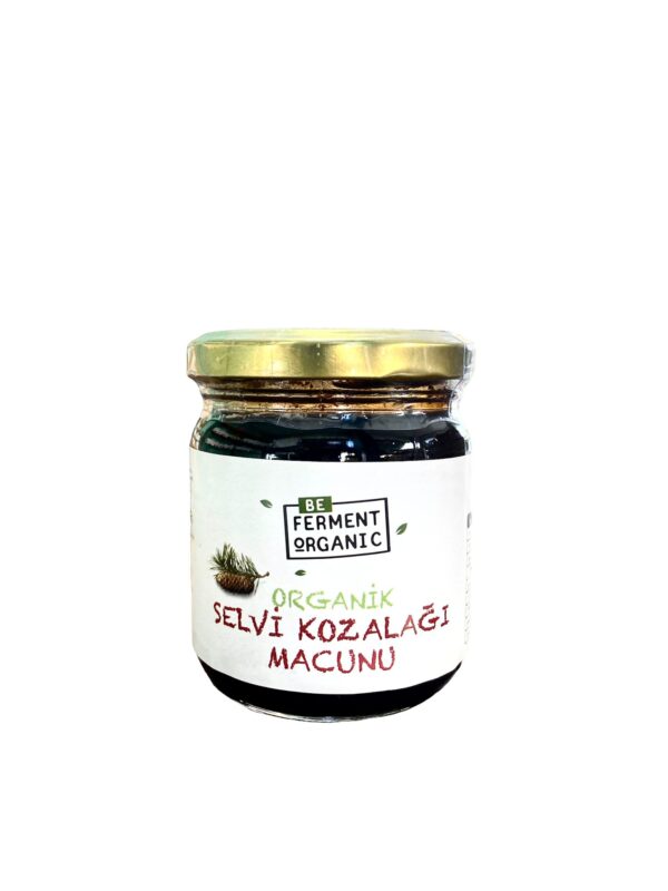 Beferment Organic Çam Kozalağı Şurubu 280 g x 4 Adet