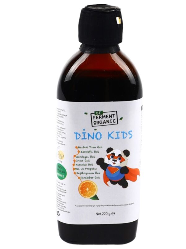 Beferment Organic Dino Kids Öz Karışım 220 g x 4 Adet