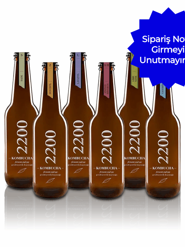 Kombucha 2200 Karışık Koli 330 mL x 25 Adet